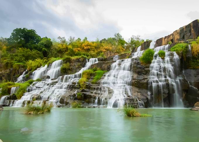 Vietnamese Nature