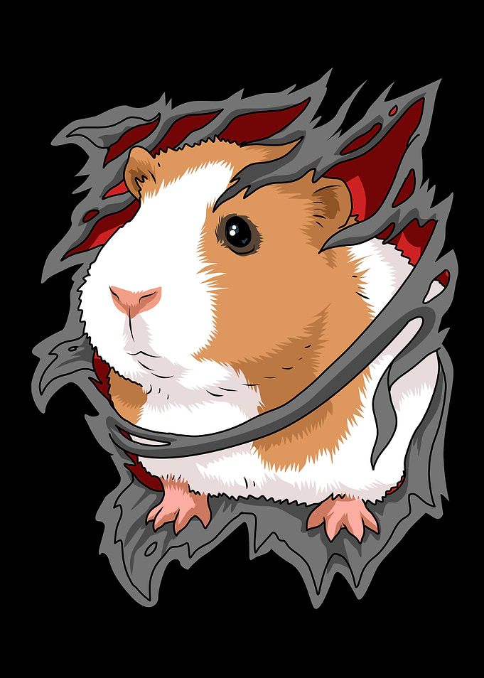 Kawaii Guinea Pig Gift Kid
