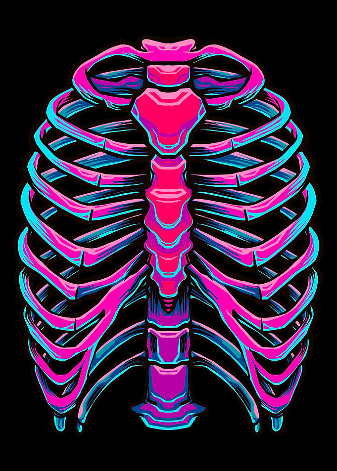 Ribs skeleton