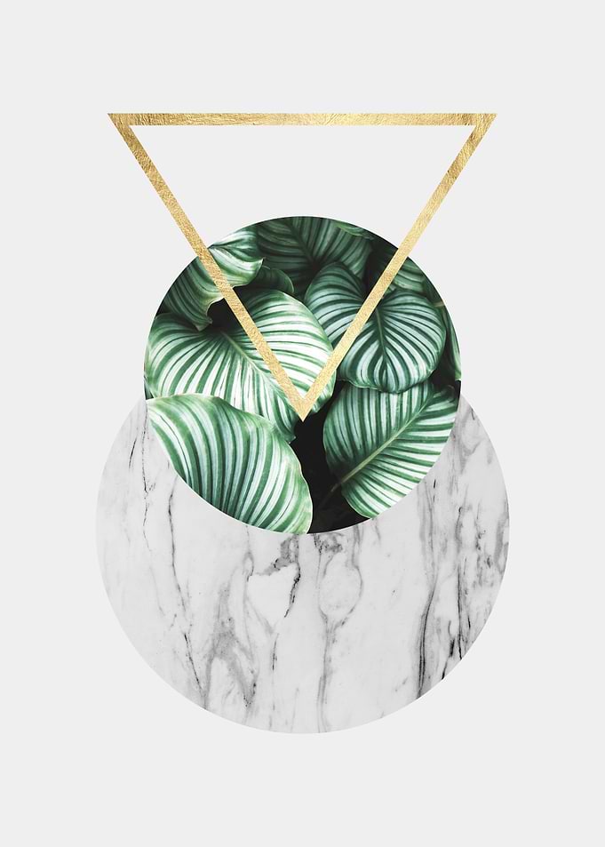 Botanical and geometric 03