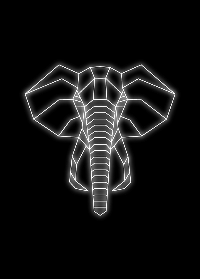 neon elephant black white