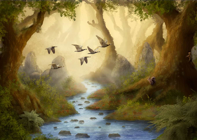 The old Forest