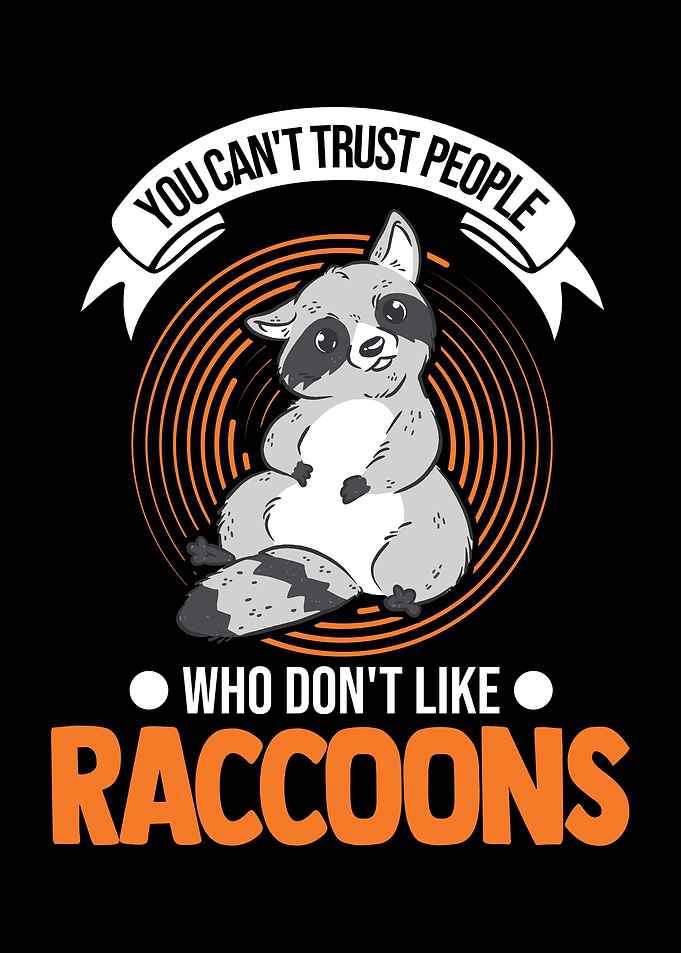 Raccoon Gift Racoon Lover