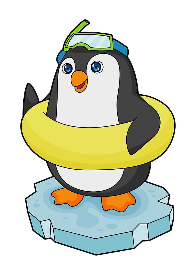 Penguin Ice floe Diver