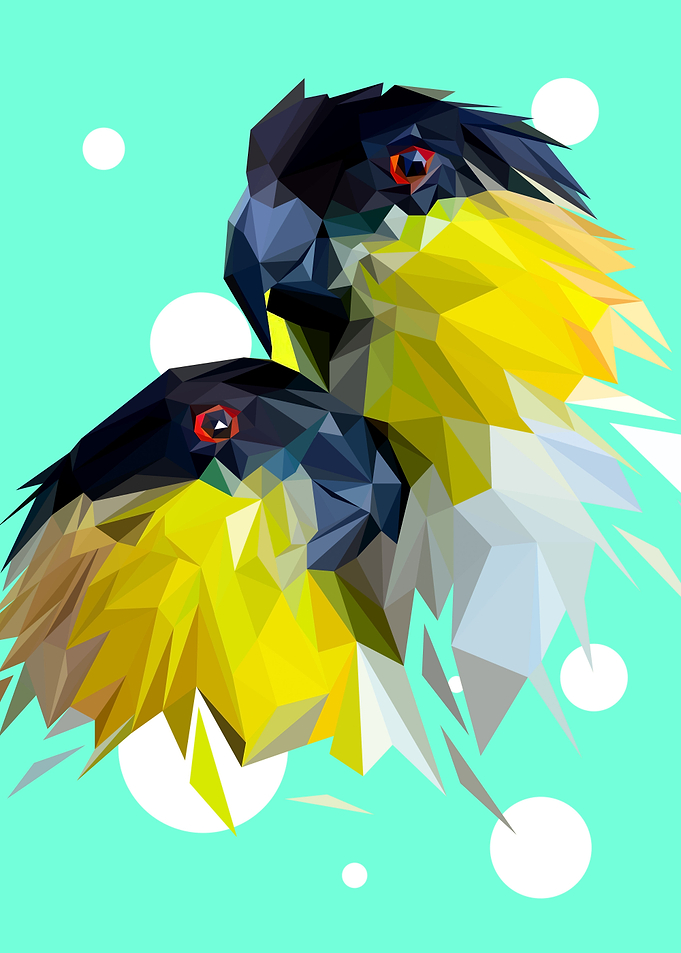 Parrot