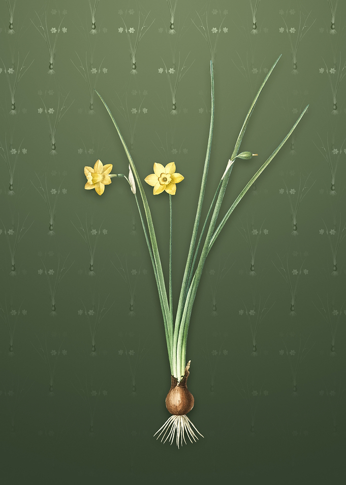 Daffodil on Lunar Green