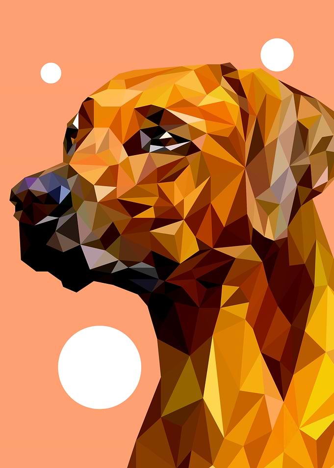 Pointer