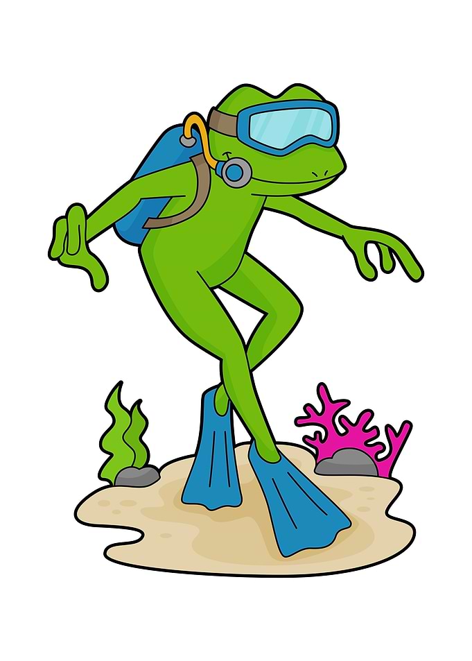 Frog Diver Swimming fins