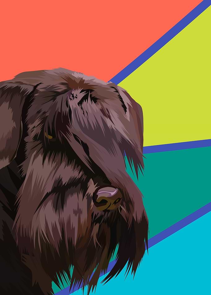 Schnauzer dog in vector