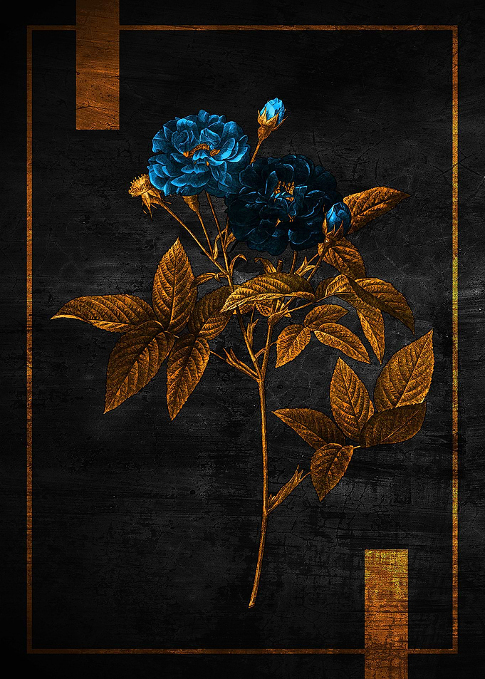 Golden Flower 3