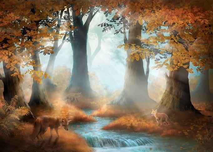 The old Forest