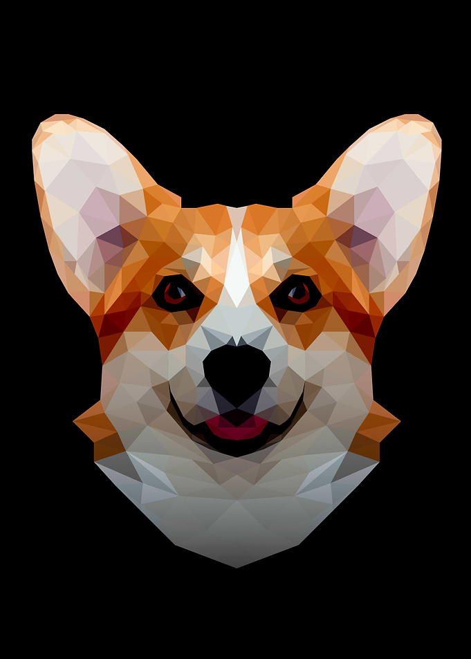 Corgi