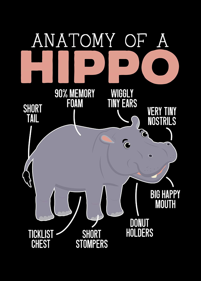 Anatomy Of A Hippo