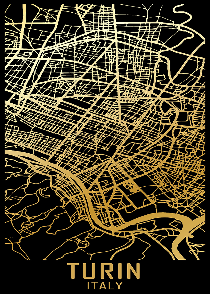 Turin Italy City Map