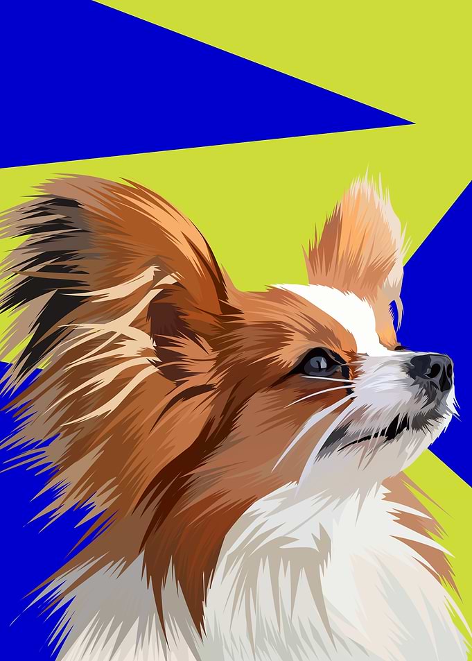 Pappilon dog in vector