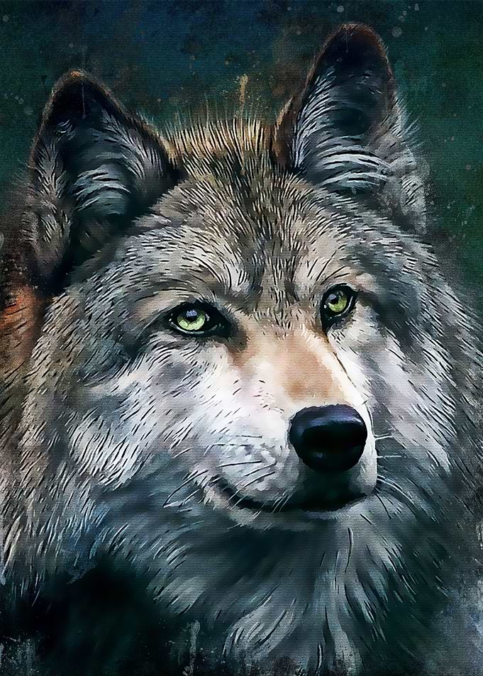 Splatter Wolf