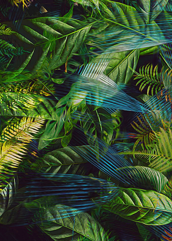 Jungle Fever