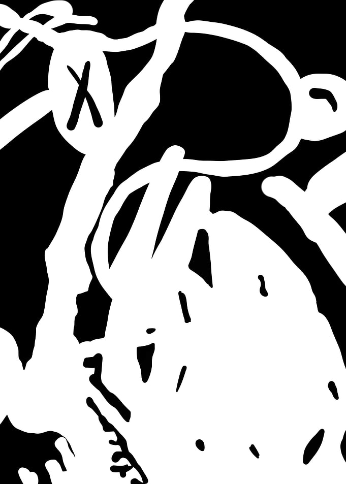 Black and white kaws