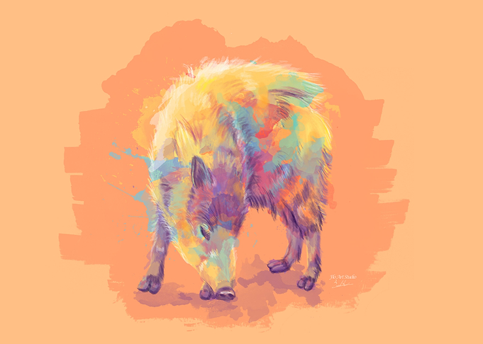 Wild Javelina Pig