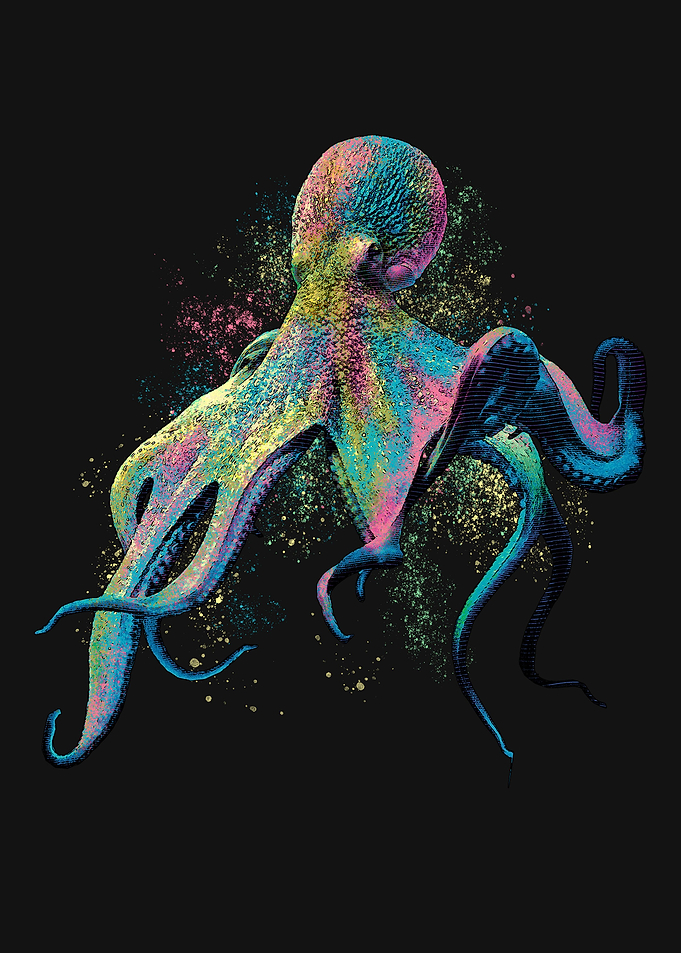 Colorful Octopus