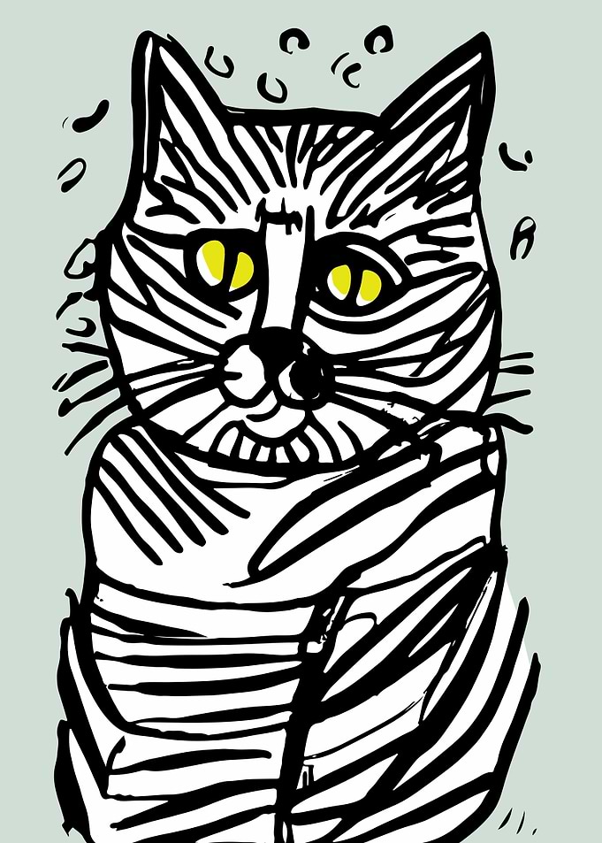 Cat Portrait Drawing