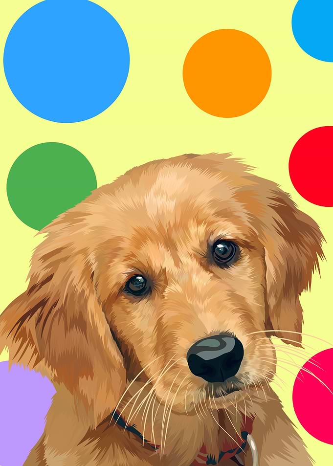 Golden retriever puppy