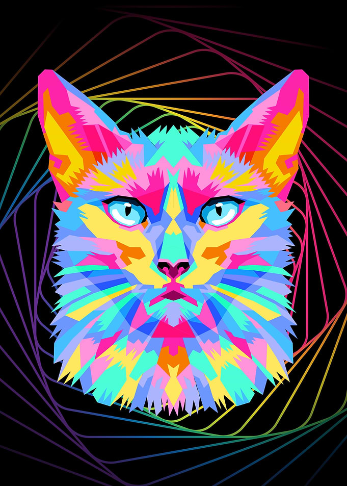 Multicolor Cat