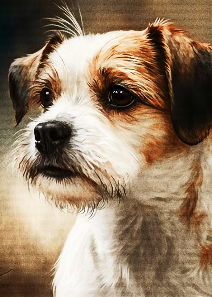 Expression Dog