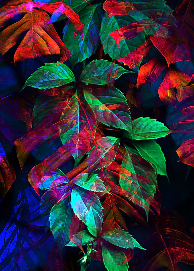 Jungle Boogie