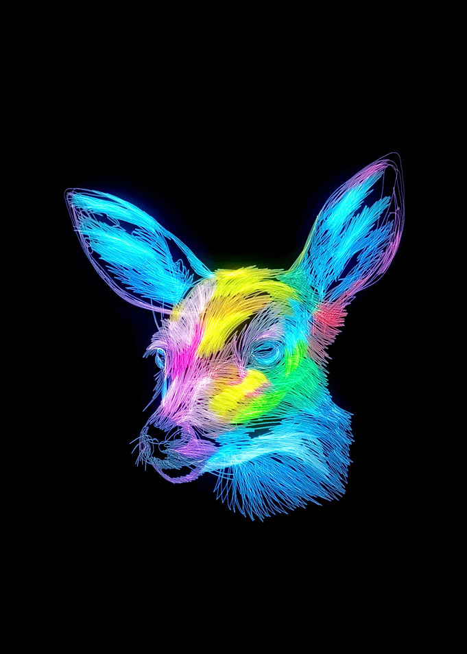 Sika Deer