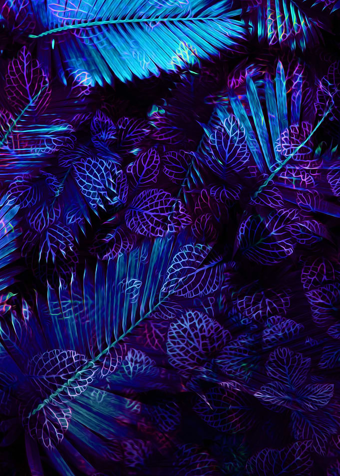 Jungle Night