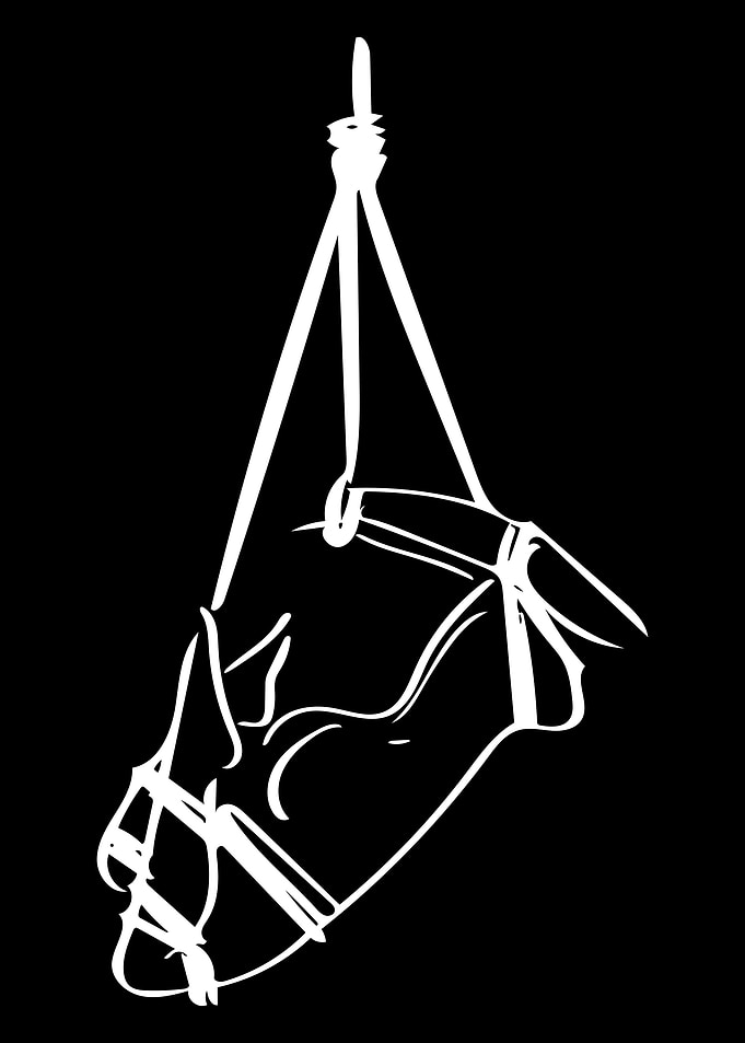 Bondage Line Art Minimal