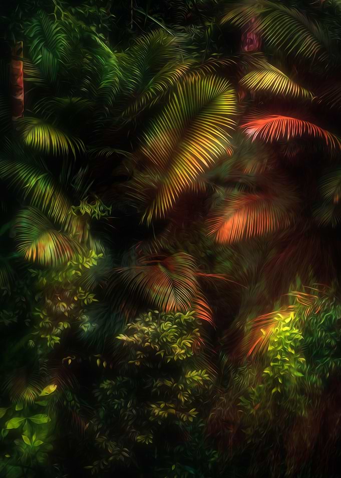 Jungle Lion