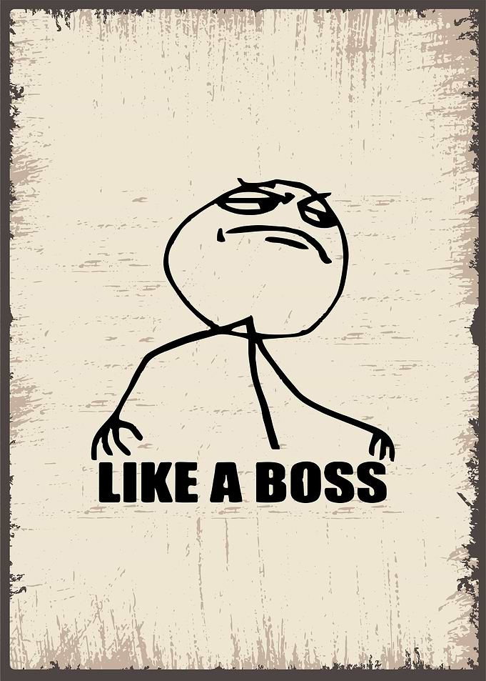 like a boss meme