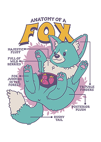Anatomy of a Fox Funny