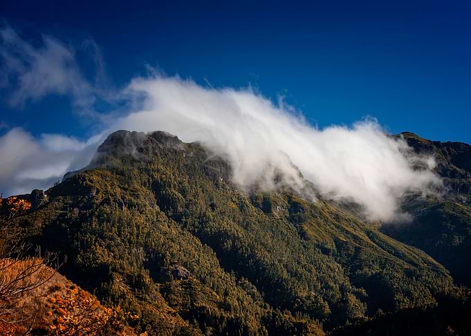 Madeira landscape,Portugal