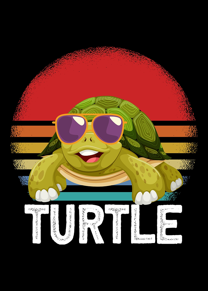 Turtle Sunglases