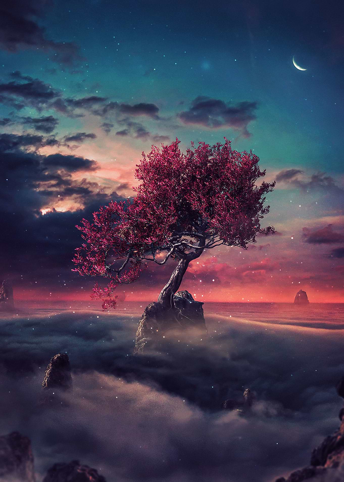 Dreams 2