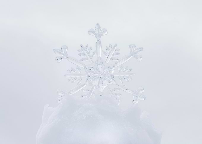 snow flower