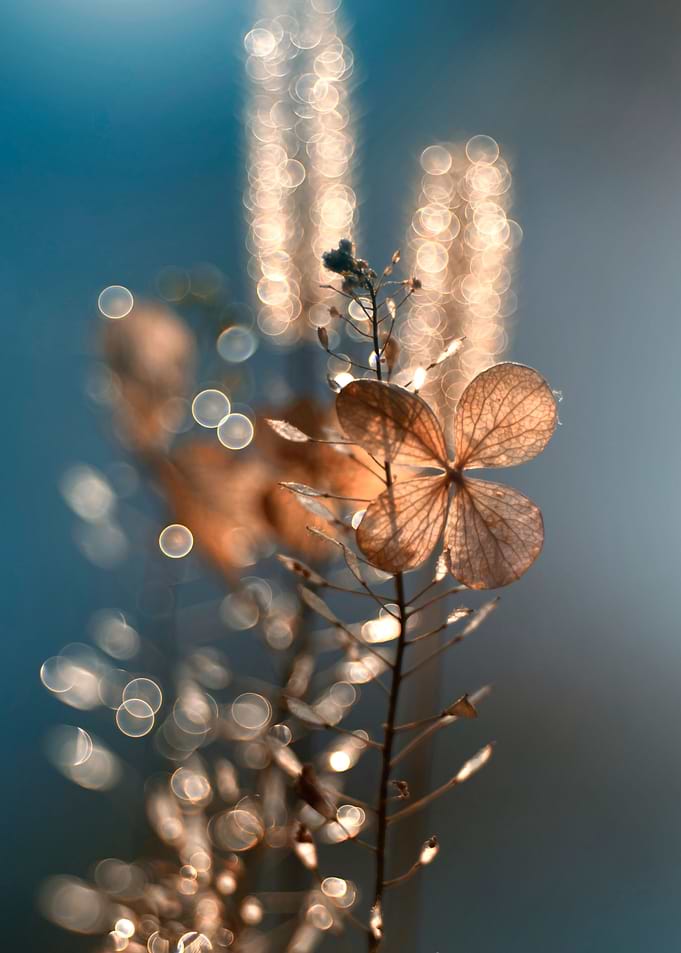 Autumn impression