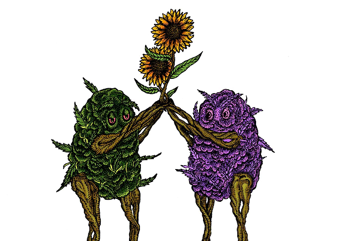 CANNABIS LOVE INDICA