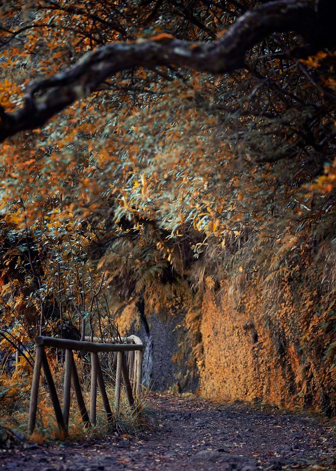 Madeira landscape,Portugal