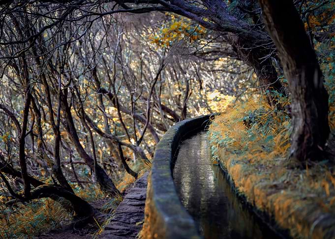 Levadas,Madeira,Portugal