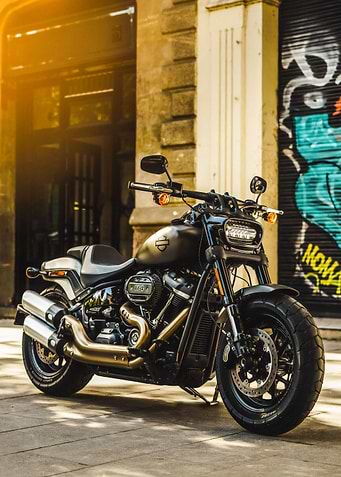 Harley Davidson Motor