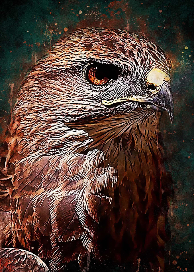 Splatter Eagle