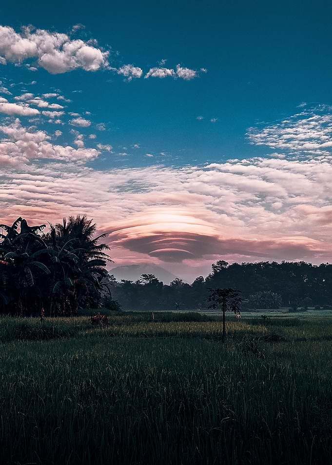 Indonesian Village Nature
