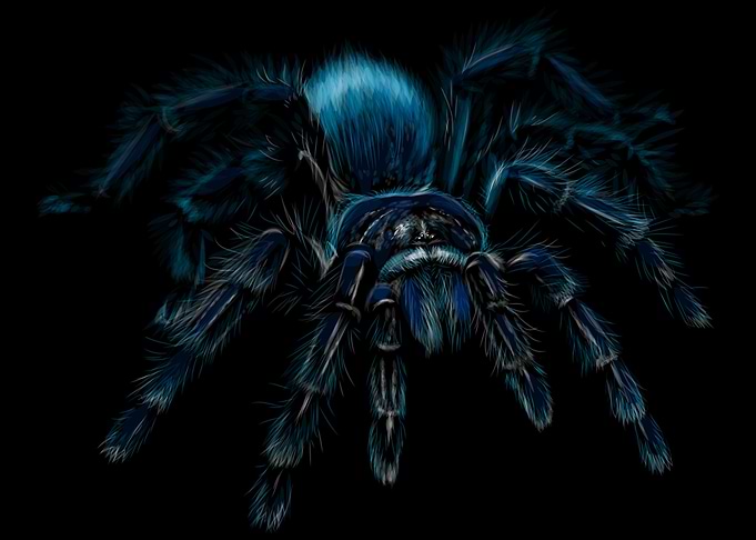 Giant Tarantula