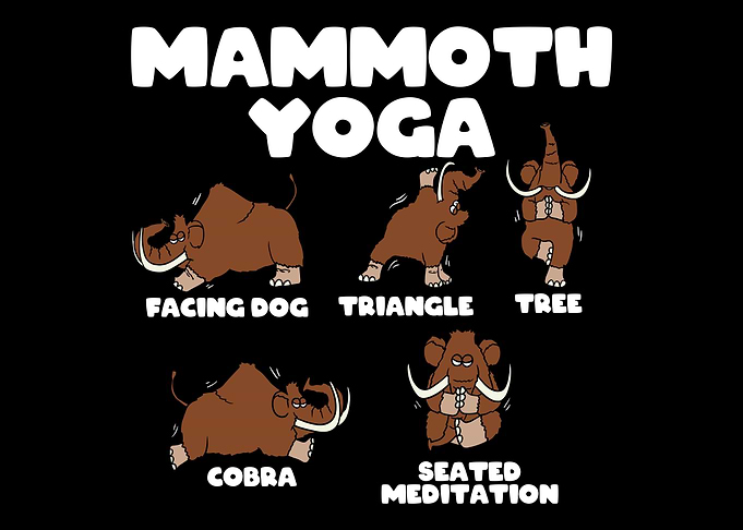 Mammoth Yoga