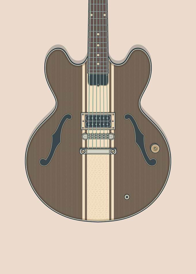 Tom D Signature 333 Guitar