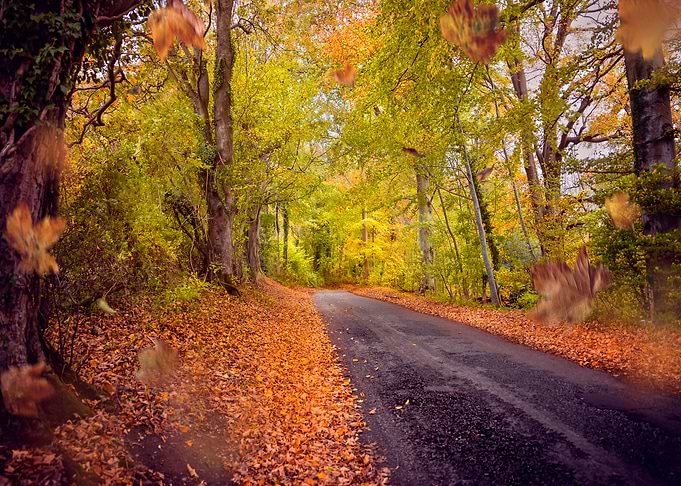 Autumn